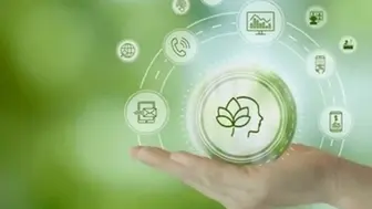 6 Bed Detox & Rehab Luxury Facility