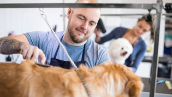Turnkey Profitable Dog Groomer