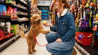 Beloved Neighborhood Pet Store Ready for New Owner