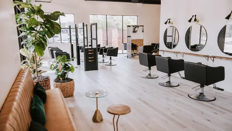 Hybrid Dual Revenue Salon
