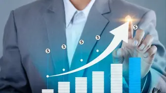 Novato CPA Tax Practice for Sale