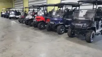 Drive Into Profits — Own a Golf Cart Business