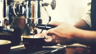 Coffee Shop for Sale in Collin County