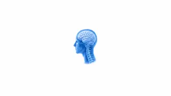 Neurological Chiropractic Wellness Center for Sale – Roswell, Georgia