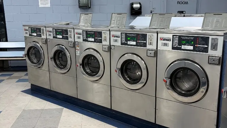 (6) 25 LB IPSO WASHERS