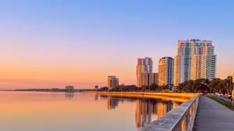 Established South Tampa Home Care Franchise in South Tampa market