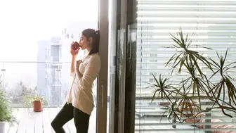 Established Budget Blinds Franchise in Troy and Sterling Heights MI