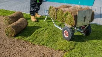 Profitable Landscape and Turf Installation Business in 4 Texas Cities