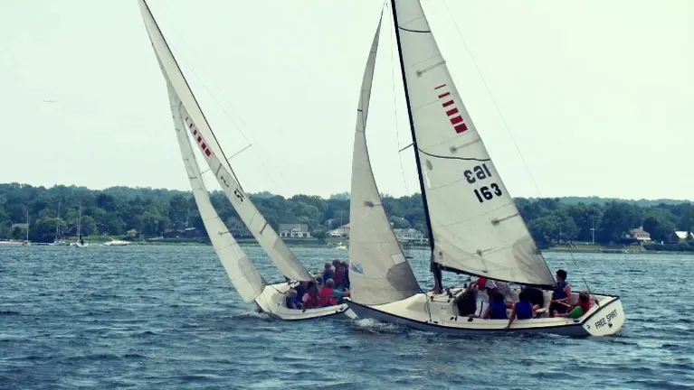 Adult Sailing Adult Sailing
