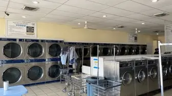 Established Business for Sale
