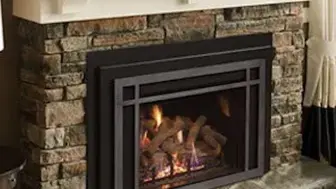 Established Specialty Fireplace & Chimney Services Business