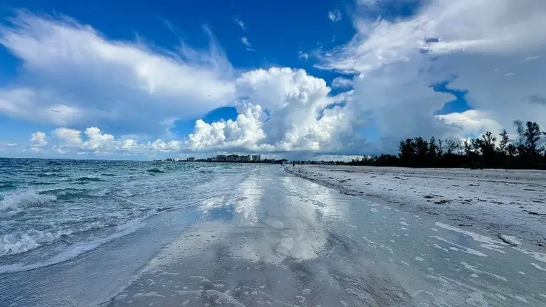 Florida Gulf Coast