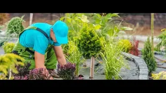 Established Landscaping Business in Growing Area