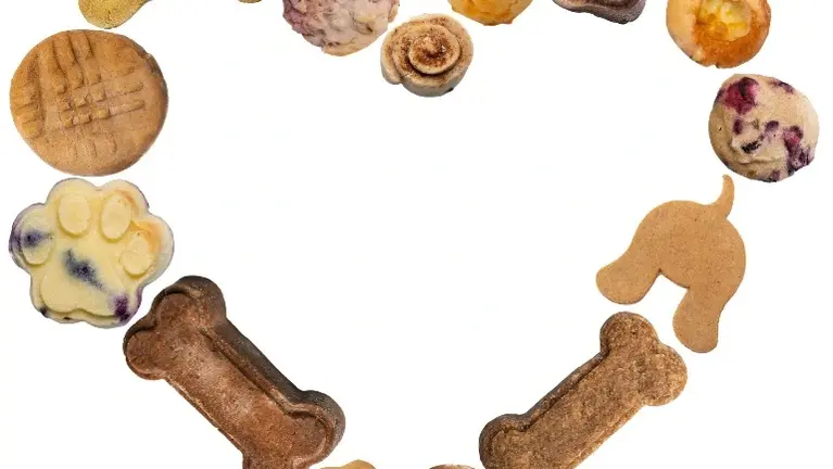 Top 10 Treats!