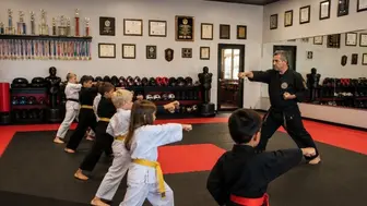 Martial Arts Training Academy
