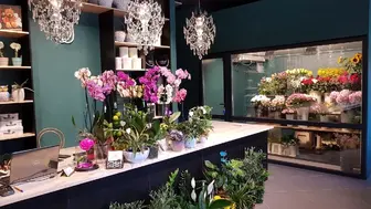 Established flower shop in a prime Hallandale Beach location