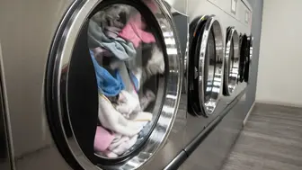 Laundromat Opportunity Self-Service + Wash & Fold & Delivery