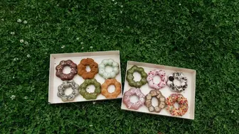 Hot Mochi Donut Concept with Strong Profits & Loyal Following