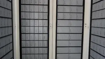Postal, Mailbox and Shipping Franchise, Low Rent, Short Hours