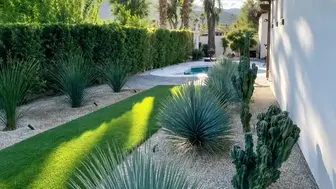 Arborist Landscaping Company