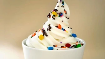 Established Ice Cream & Frozen Dessert Franchise