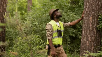 Tree Service Business For Sale