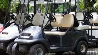 30 Yr. Est. Golf Cart Dealership & Expert Repair 