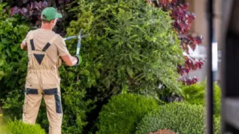 Lawn & Landscape Maintenance Company for Sale in Las Vegas