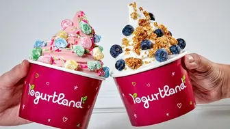 Yogurtland Franchise in North Orange County