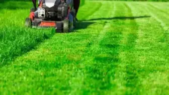 Turnkey Landscaping and Lawn Maintenance Business