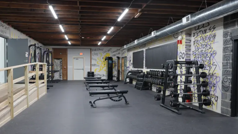 Free Weights