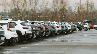 Car Rental (fleet), Sales and Repair