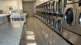 Passive Income Hands-off Coin Laundry