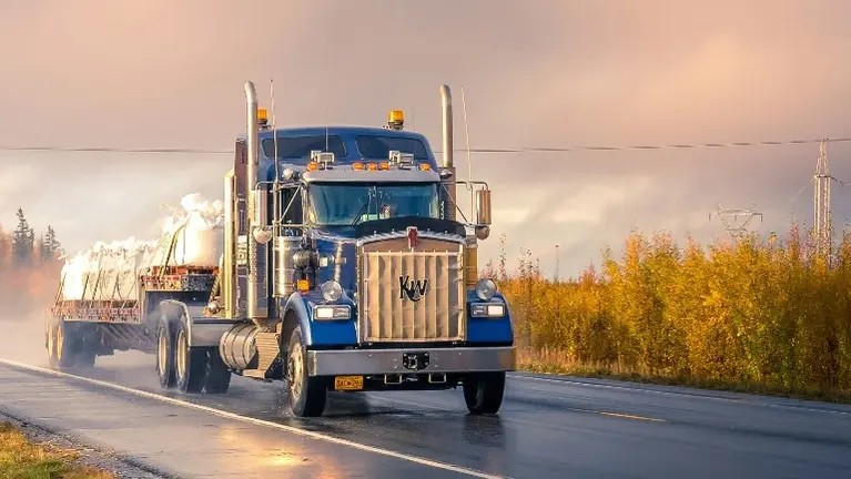 Blue truck on the road