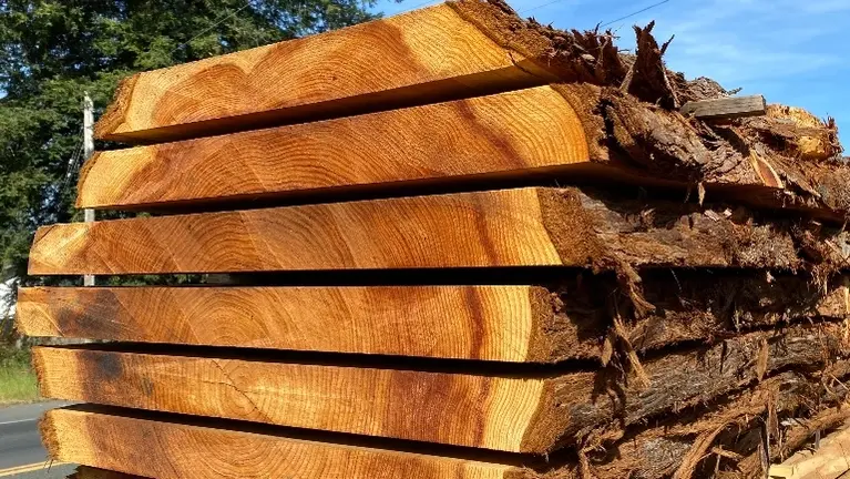 Wood Slab Retailer + Woodworking