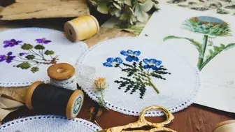 Quaint Framing & Cross Stitch Business in Pinellas County
