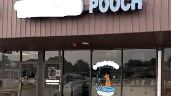 Excellent Dog Grooming business serving Alsip for over 20 years