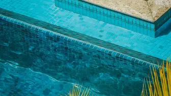 Profitable and Established Pool Supplies Distributor