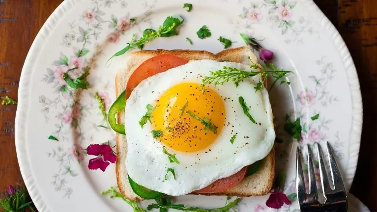 breakfast plate breakfast plate