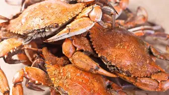 Seafood/Crab house Restaurant for Sale-Montgomery County, Maryland
