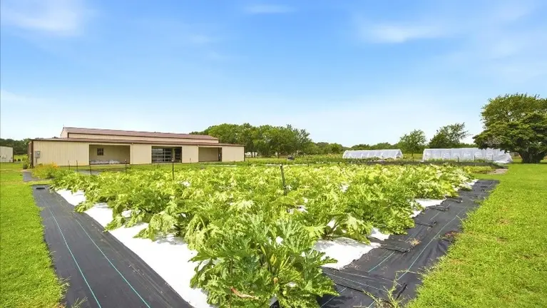 Fully Irrigated into farmers market supply chain - Qty: 160 - 30' Growing Beds