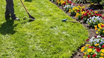 Well Established Highly Profitable Landscaping Company