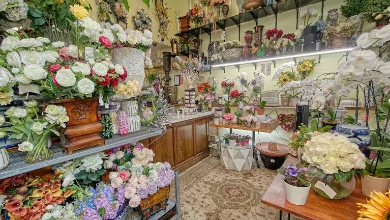 Typical display area