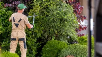 Established Commercial Landscape Maintenance Company