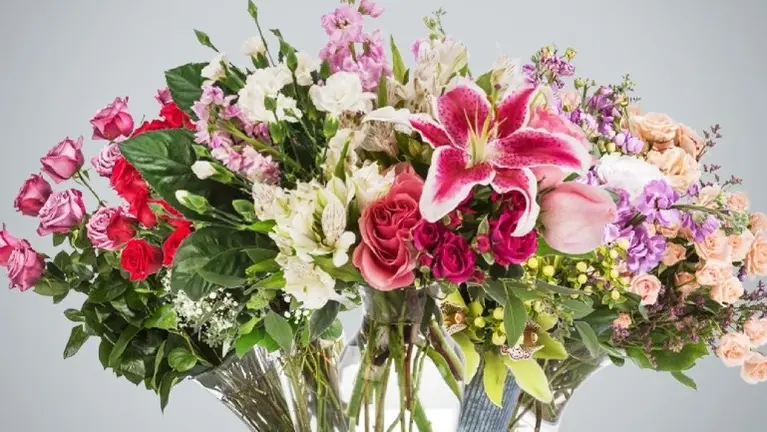 Turnkey Floral  Business – Franchise Rights Included