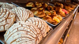 Gluten Free Vegan Bakery for Sale