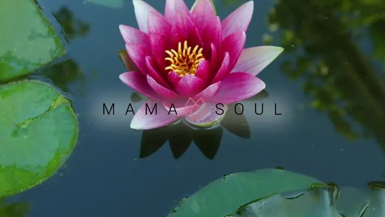 Mama Soul — trademarked women's health brand. Professionally produced video library included in sale.