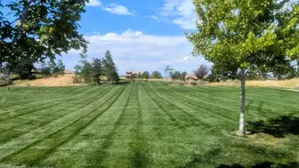 Profitable and Fast Growing Irrigation-Lawn-Landscape Business