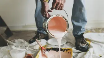 Painting Company for Sale in North Dallas