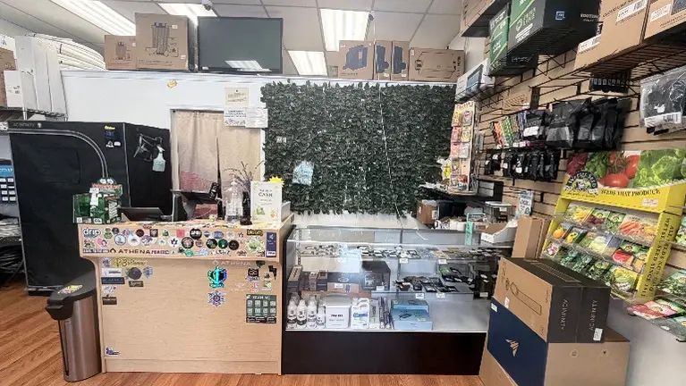 Checkout Area and Customer Service Counter
